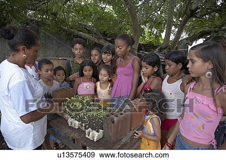 child school children brazil organic garden joao View Large Photo Image Stock Photo - child school children brazil organic garden joao . Fotosearch