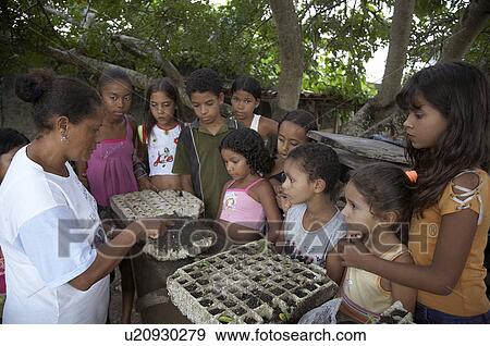 child school children brazil organic garden joao View Large Photo Image Stock Photo - child school children brazil organic garden joao . Fotosearch