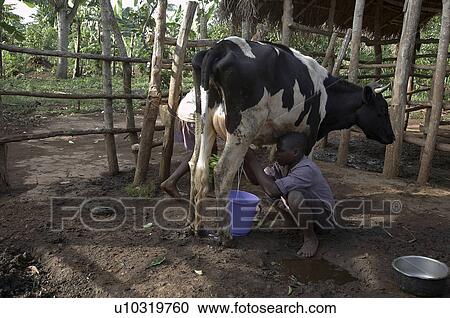 children uganda 4-acre farm sylvester sewanyana View Large Photo Image Stock Image - children uganda 4-acre farm sylvester sewanyana . Fotosearch