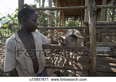 Stock Image -  children uganda 4-acre farm sylvester sewanyana . Fotosearch