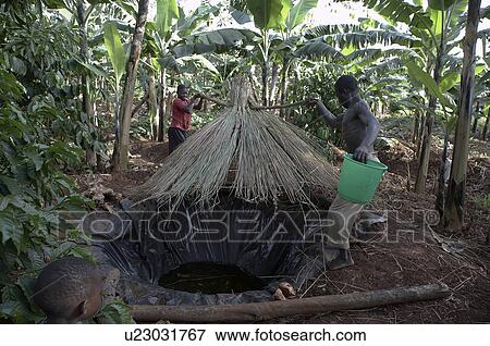 Stock Photo -  children uganda 4acre farm sylvester sewanyana . Fotosearch