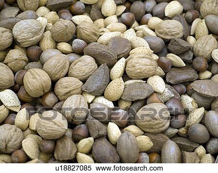 christmas background mixed nuts in shells pecans View Large Photo Image Stock Photography - christmas background mixed nuts in shells pecans. Fotosearch