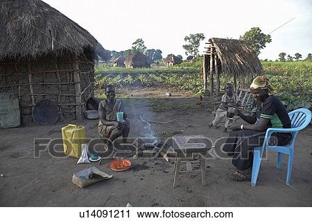 coffee south sudan early morning scene farm yei View Large Photo Image Stock Image - coffee south sudan early morning scene farm yei . Fotosearch