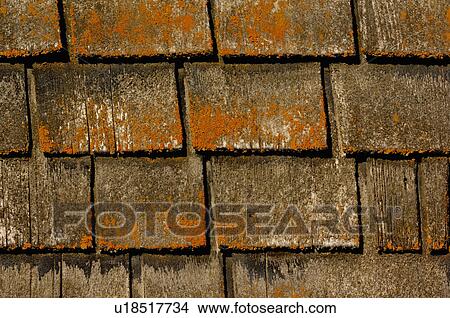 design close up image wooden shingles roof barn View Large Photo Image Picture - design close up image wooden shingles roof barn. Fotosearch