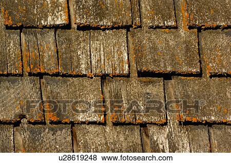 design close up image wooden shingles roof barn View Large Photo Image Stock Photo - design close up image wooden shingles roof barn. Fotosearch