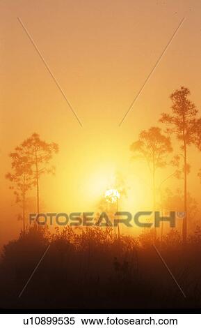 Stock Photography -  early morning sunrays burst misty landscape. Fotosearch