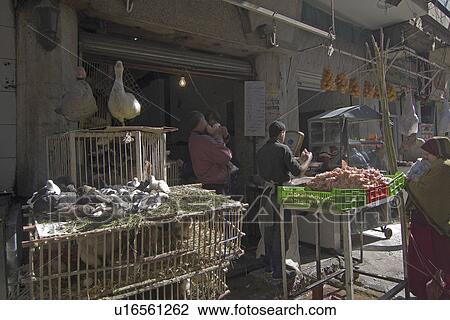 egypt khan alkhalili islamic old cairo street View Large Photo Image Stock Image - egypt khan alkhalili islamic old cairo street. Fotosearch