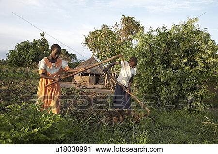 family child children south sudan early morning View Large Photo Image Stock Image - family child children south sudan early morning . Fotosearch