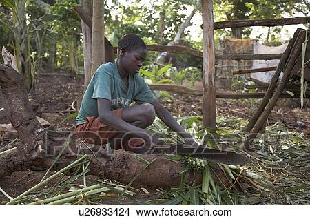 Picture -  family home uganda in najjemba teopista kasaayi . Fotosearch