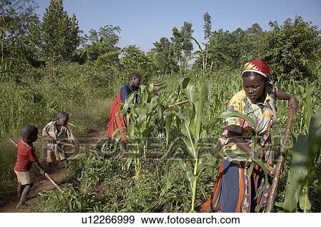 Stock Photo -  family uganda group najjemba teopista daughter . Fotosearch