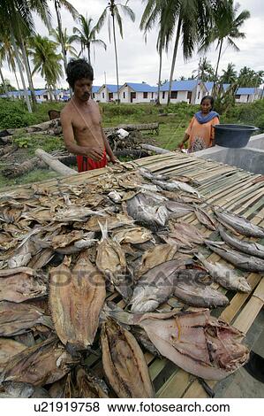 Stock Photo -  fish indonesia crs housing project seunebok site . Fotosearch