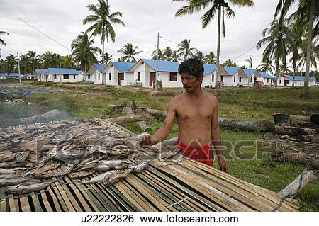 Stock Photograph -  fish indonesia crs housing project seunebok site . Fotosearch