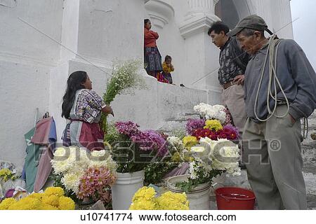 Picture -  flower guatemala sellers central america latin . Fotosearch