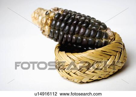 food people art closeup corn cob wicker basket View Large Photo Image Stock Image - food people art closeup corn cob wicker basket. Fotosearch