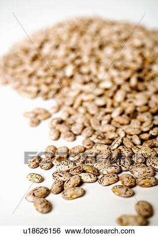 food people closeup dry beans abundance bean View Large Photo Image Stock Photograph - food people closeup dry beans abundance bean. Fotosearch
