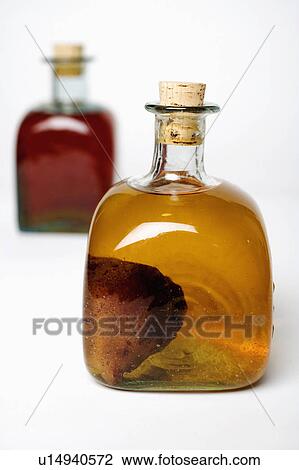 food people closeup two bottles olive oil bottle View Large Photo Image Stock Image - food people closeup two bottles olive oil bottle. Fotosearch