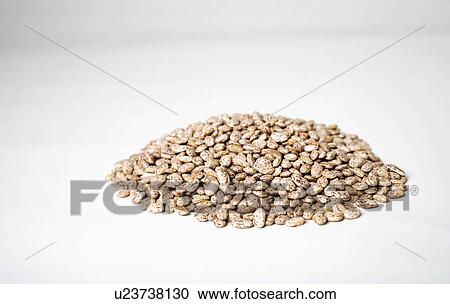 food people coffee closeup dry beans abundance View Large Photo Image Stock Image - food people coffee closeup dry beans abundance. Fotosearch