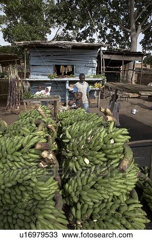 food uganda bananas for sale market in karagi View Large Photo Image Stock Image - food uganda bananas for sale market in karagi . Fotosearch