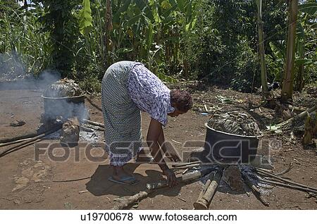 food uganda cooking matoke steamed banana staple View Large Photo Image Stock Photo - food uganda cooking matoke steamed banana staple . Fotosearch