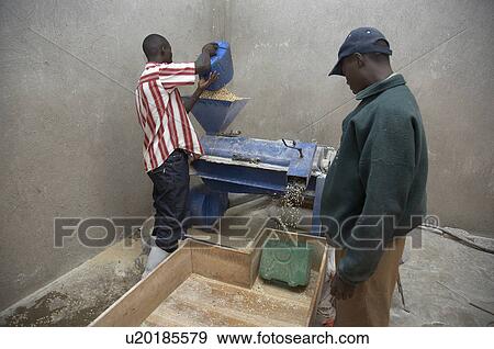 Stock Photo -  food uganda milling for rice maize village use . Fotosearch