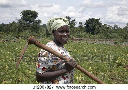 Stock Photo -  food uganda nejjemba teopista farmer kayunga hoe . Fotosearch