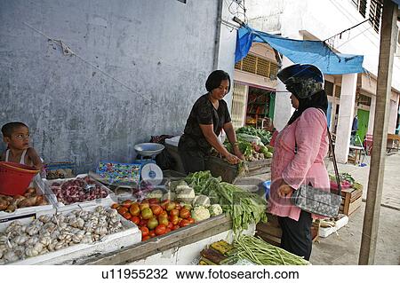 fruit construction indonesia hoddi vegetable View Large Photo Image Stock Image - fruit construction indonesia hoddi vegetable . Fotosearch