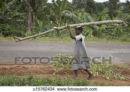 Picture -  girl child children uganda carrying firewood . Fotosearch