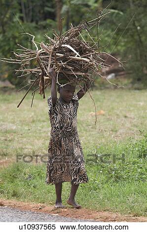 girl child children uganda carrying firewood use View Large Photo Image Stock Photography - girl child children uganda carrying firewood use . Fotosearch