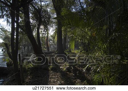 guatemala lake atitlan seen san pedro la laguna View Large Photo Image Stock Image - guatemala lake atitlan seen san pedro la laguna. Fotosearch