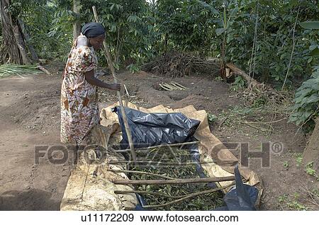 Stock Photo -  home uganda in farmer farmers group animator home. Fotosearch