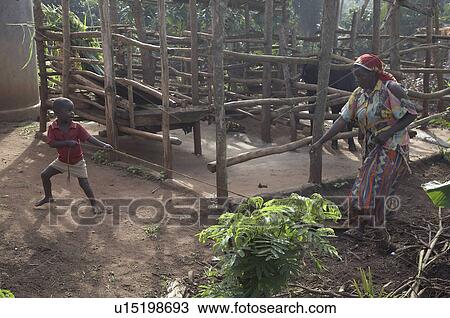 Stock Image -  home uganda in najjemba teopista farmer kasaayi . Fotosearch