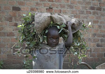 home uganda in najjemba teopista caritas lugazi View Large Photo Image Stock Image - home uganda in najjemba teopista caritas lugazi . Fotosearch