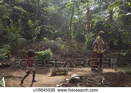 Stock Photo -  home uganda in najjemba teopista farmer kasaayi . Fotosearch