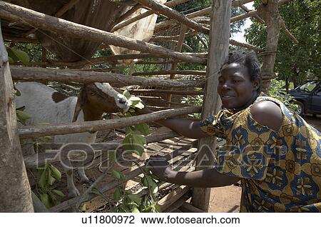 Stock Image -  home uganda nakabugo betty kisoga village . Fotosearch