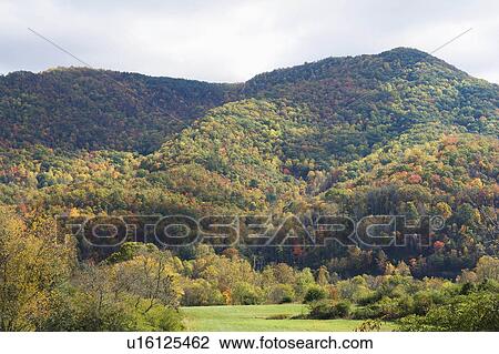 house early fall color in smokey mountains old View Large Photo Image Stock Image - house early fall color in smokey mountains old. Fotosearch