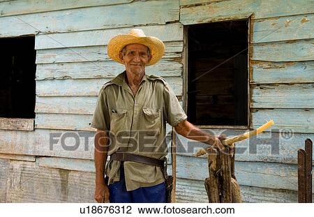 Stock Image -  house man old farmer cutting sugar cane in front. Fotosearch