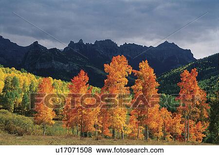 Stock Photo -  in storm light brooding backdrop mountains one. Fotosearch