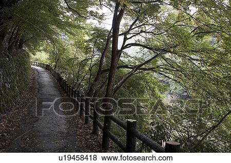 Stock Photo -  japan arashiyama kyoto asia se horizontal . Fotosearch