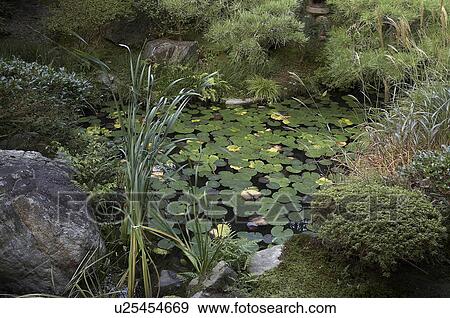 Stock Photo -  japan eikando or zenrinji temple kyoto detail . Fotosearch
