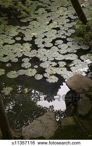 japan eikando or zenrinji temple kyoto detail View Large Photo Image Stock Photograph - japan eikando or zenrinji temple kyoto detail . Fotosearch