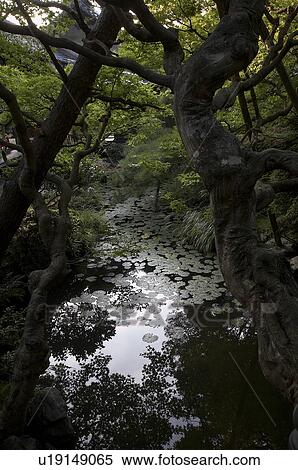 Stock Photography -  japan eikando or zenrinji temple kyoto detail . Fotosearch