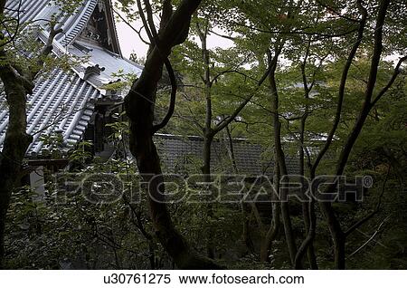 japan eikando or zenrinji temple kyoto roof asia View Large Photo Image Stock Photography - japan eikando or zenrinji temple kyoto roof asia. Fotosearch