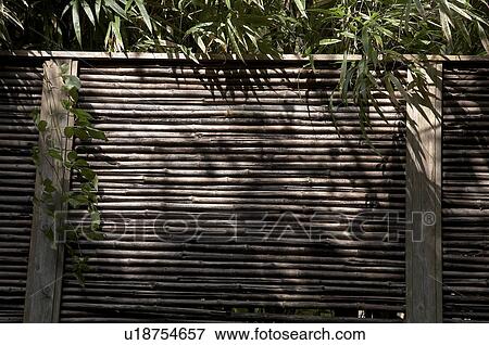 Stock Photo -  japan engakuji zen temple kamakura bamboo screen. Fotosearch