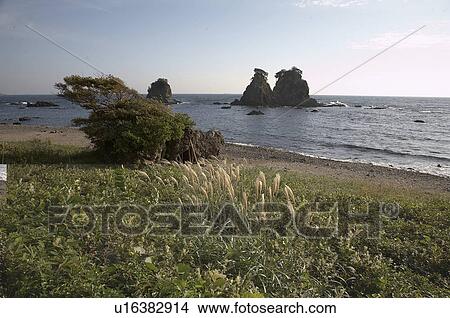 Picture -  japan izu peninsular coastline asia se . Fotosearch