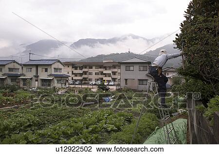 Stock Image -  japan suburbs hiroshima asia se horizontal japan. Fotosearch