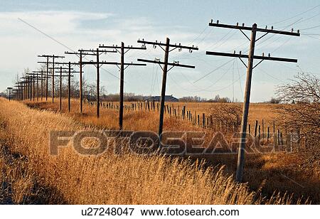 line wooden poles carring power lines straight View Large Photo Image Stock Photo - line wooden poles carring power lines straight. Fotosearch