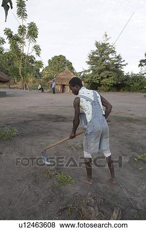man south sudan early morning scene farm yei man View Large Photo Image Stock Photo - man south sudan early morning scene farm yei man. Fotosearch