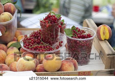 Picture -  naturally grown fruits sold market berries . Fotosearch
