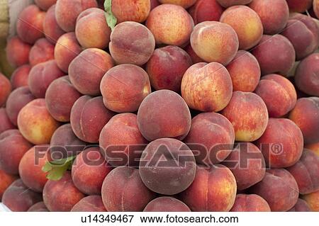 naturally grown fruits sold market lovely fresh View Large Photo Image Stock Photo - naturally grown fruits sold market lovely fresh. Fotosearch