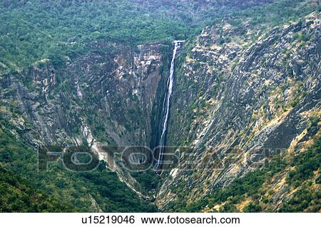 nature rat tail falls in kodaikanal tamilnadu View Large Photo Image Stock Photograph - nature rat tail falls in kodaikanal tamilnadu. Fotosearch